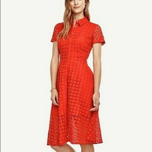 Ann Taylor Midi Shirtdress